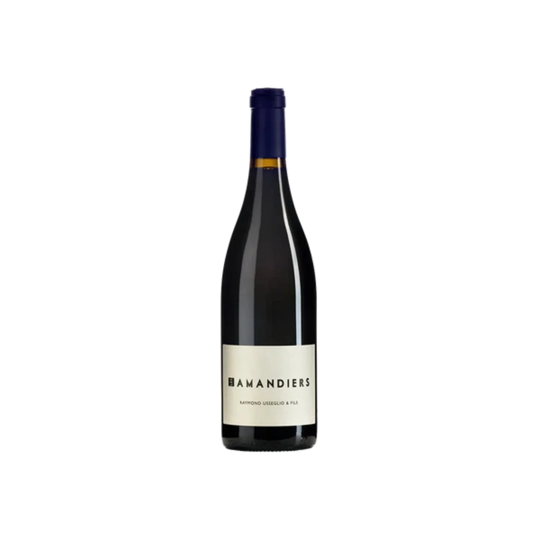 Domaine Raymond Usseglio & Fils Les Amandiers, Rhone, Vin de France