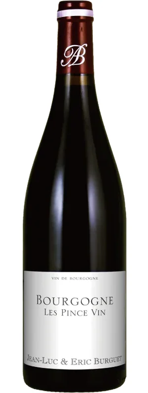 Jean-Luc & Eric Burguet Bourgogne Les Pince Vin, Burgundy, France
