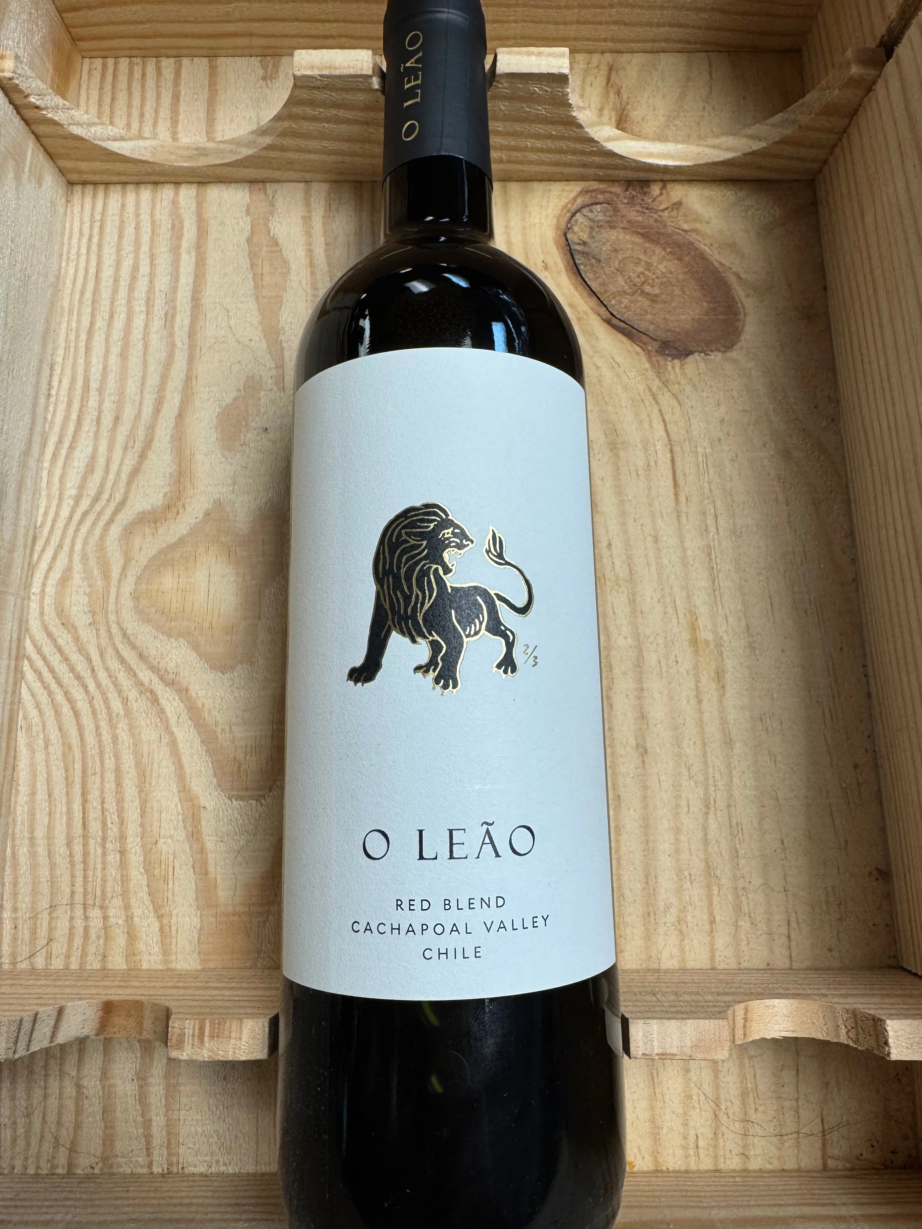 VIK 'O Leao', Cachapoal Valley, Chile